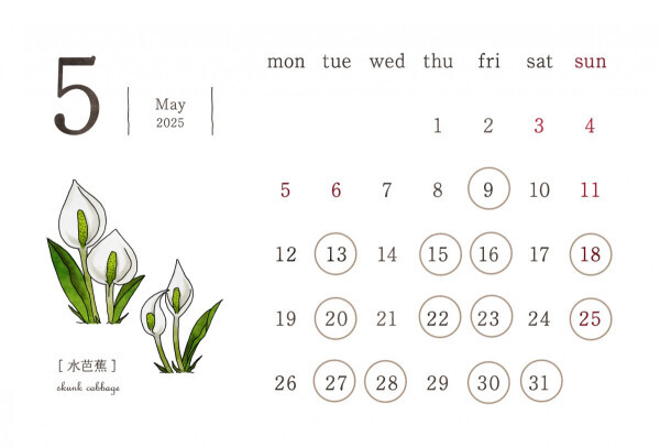 5月の予定?