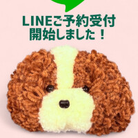 ご予約について