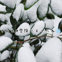 何を思い出しますか？