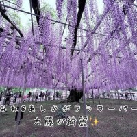 純怜