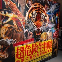 純怜