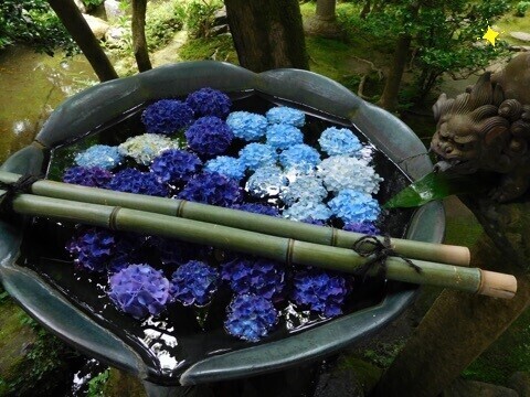 明日のご予約様