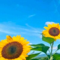 ようこ