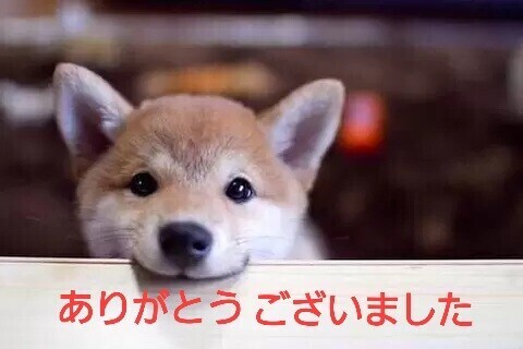 昨日の御礼