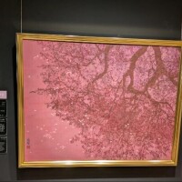 ふじよ