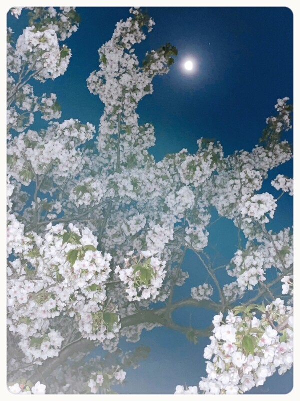 image0.jpeg