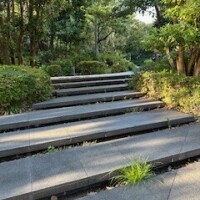 あけみ