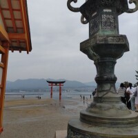 あみか