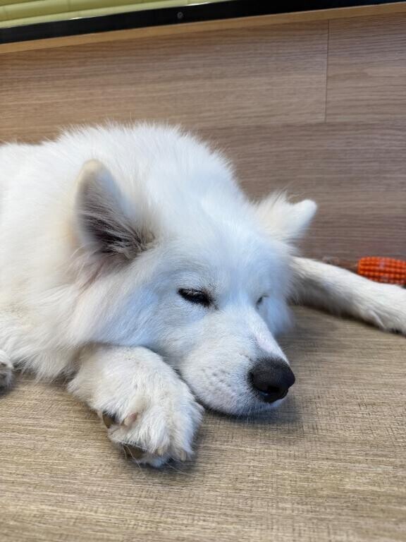 お休みの日は