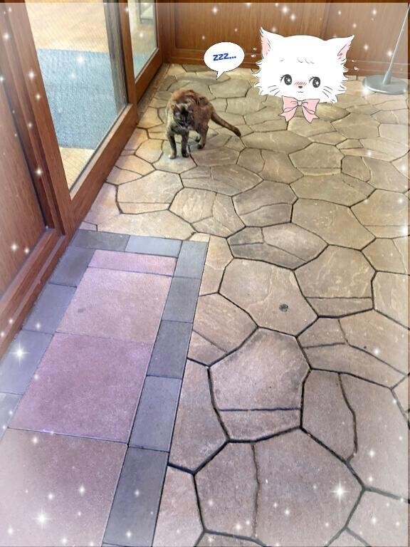 終了？？