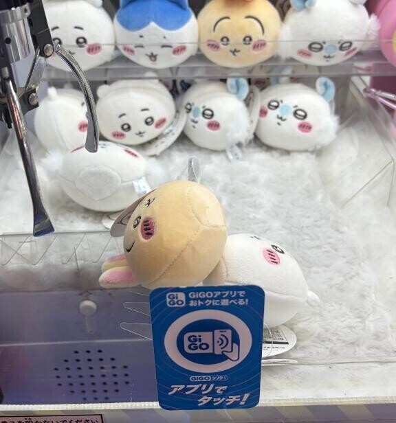 うさぎすきです？