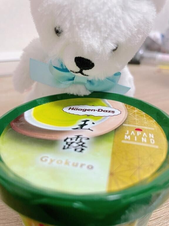 抹茶レポ?