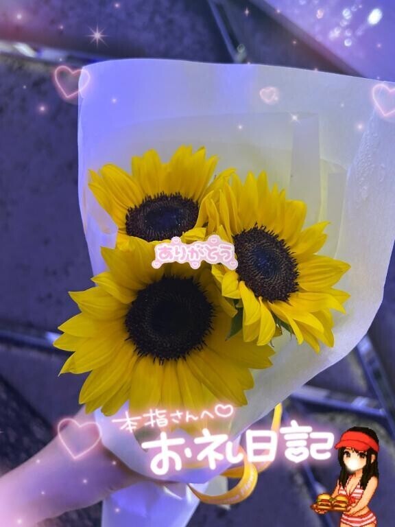お礼??サフィロ Tちゃん