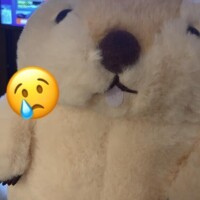 瀬谷れむ