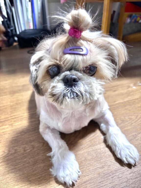 シフトの件です。