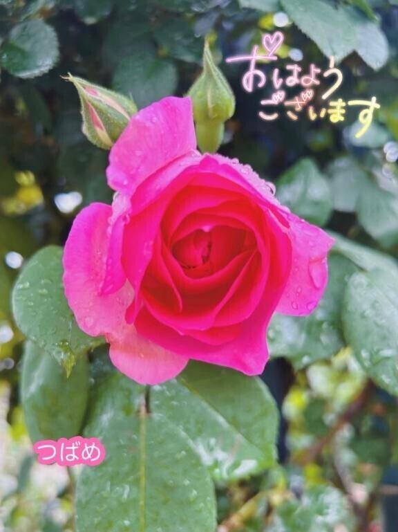 とうちゃく～??