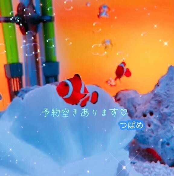 きょうも。。??