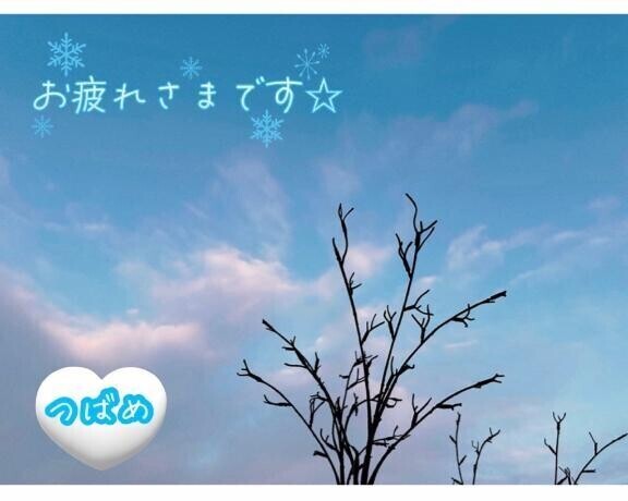 みたよちゃんと見てます？？？