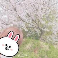 高城かほ