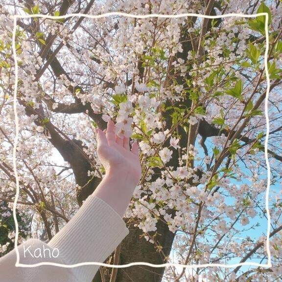 ぎりぎり春！