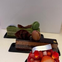 藤井かりん