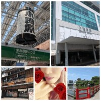 東京ハスミ