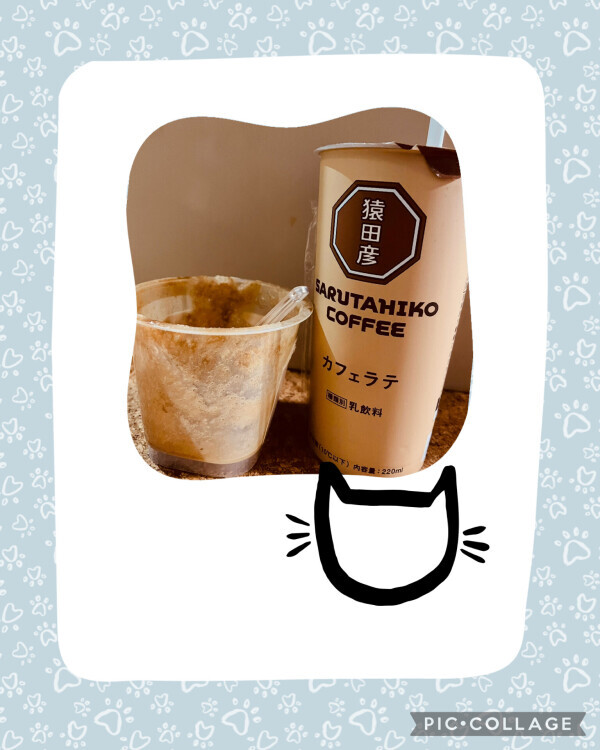 今日のE様⭐︎