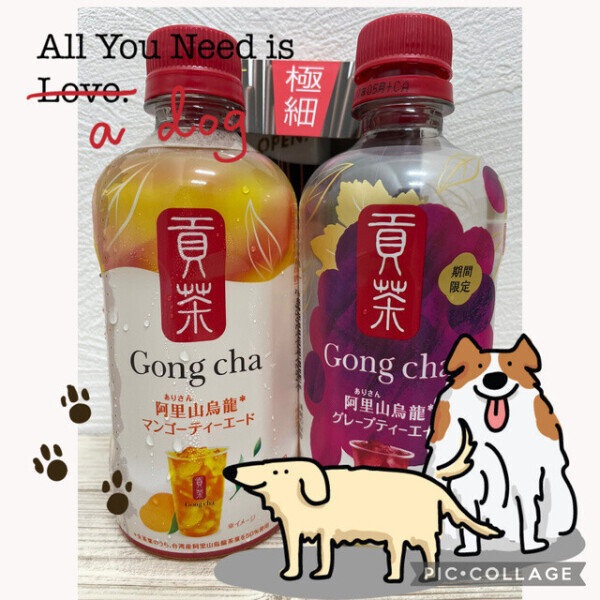 今日のW様⭐︎