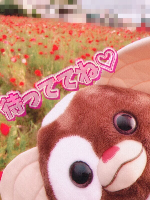 お久しぶりの…