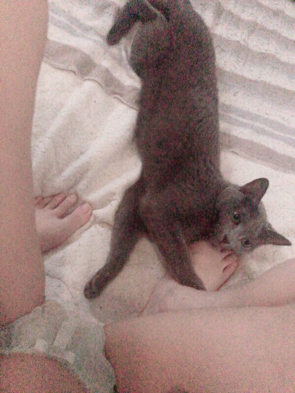 🌼きたーくっ🌼