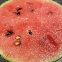 あずさ