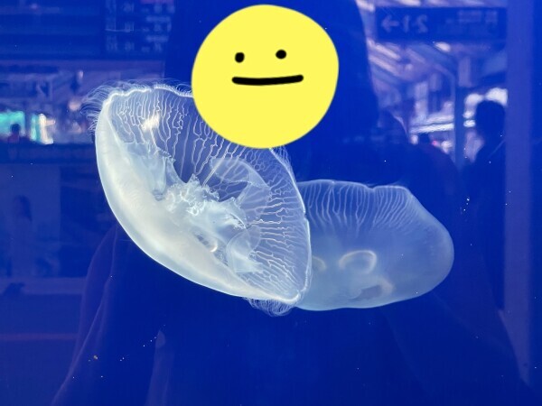 昨日はありがとうございました
