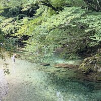 さくや