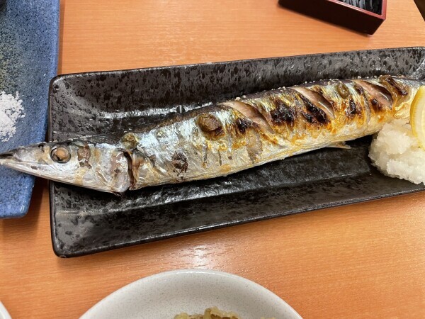 今日もありがとうございました