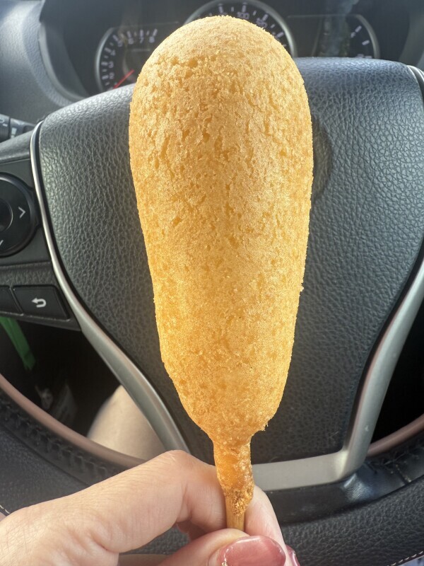 おはようございます！