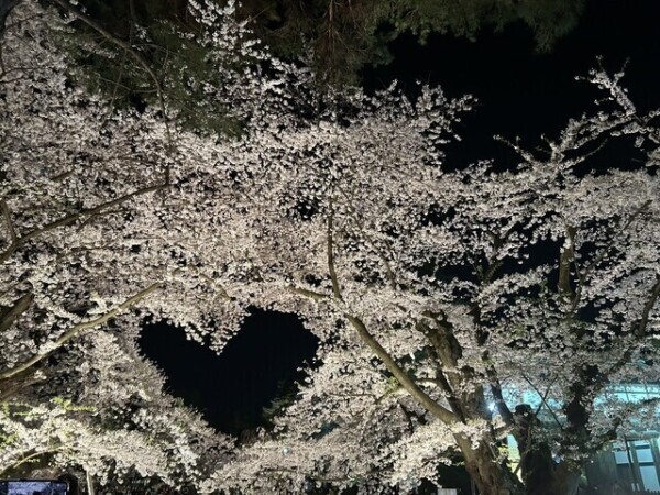 はじめて、、、💓