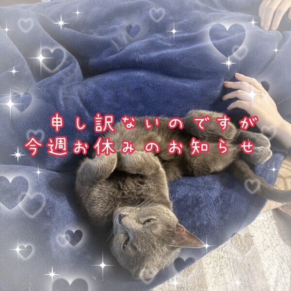 ～今週お休みのお知らせ～