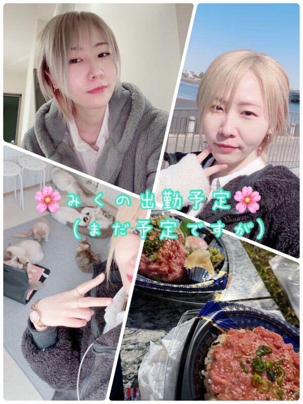 ～みくの久々出勤予定～