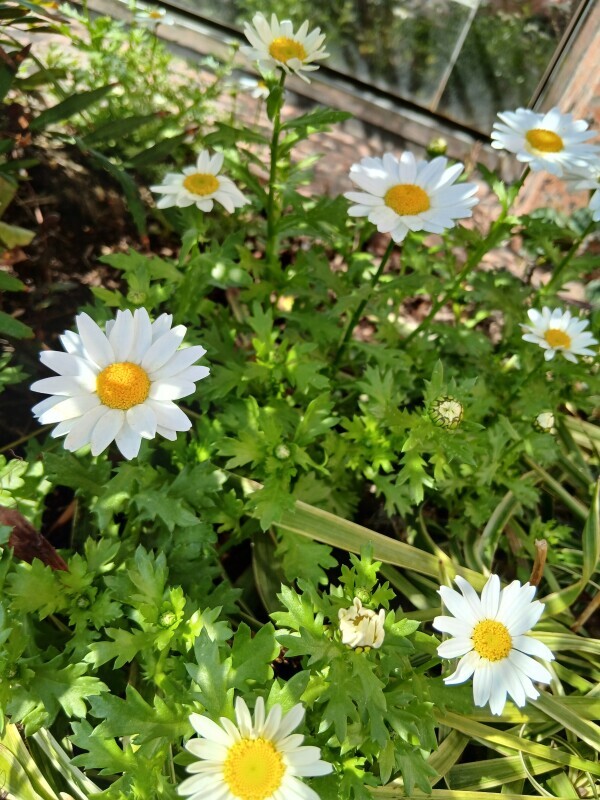 (( ˙꒳​˙  ))ﾌｧｧｧｧｧ