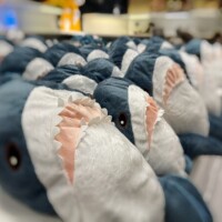 さくや