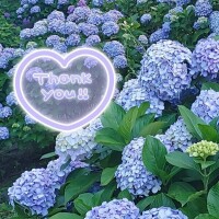 めぐみ