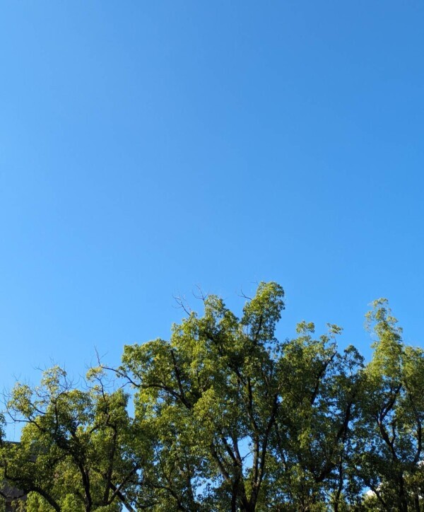 大切な一時