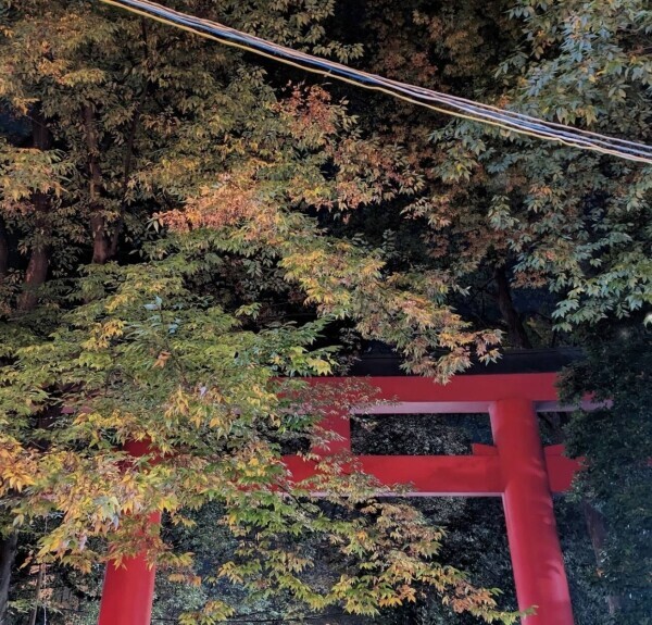 引き寄せ