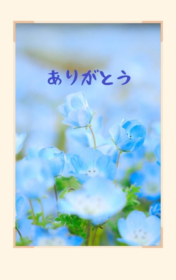 昨日は
