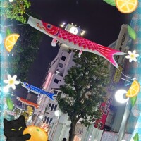 月影まりえ