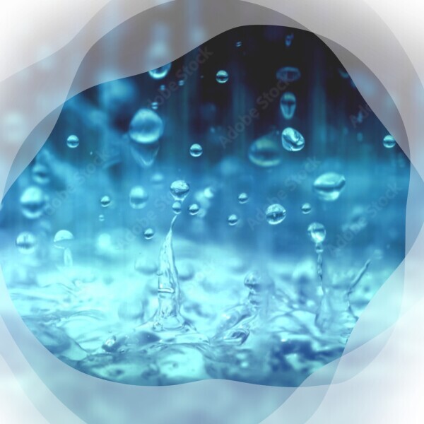 雨