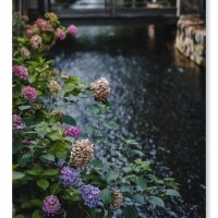 永瀬冬子