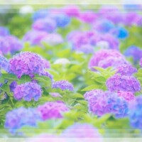 永瀬冬子
