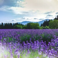 永瀬冬子