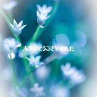 永瀬冬子